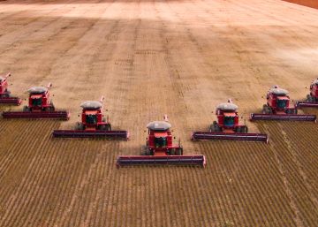 Una tormenta de verano