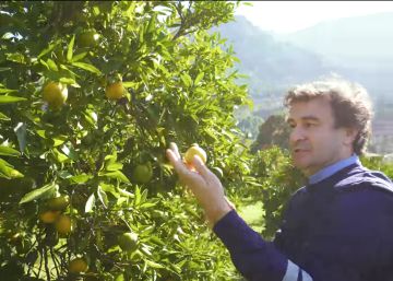 #eVuelta: Capítulo 8 | Pepe y el pecado en el paraíso