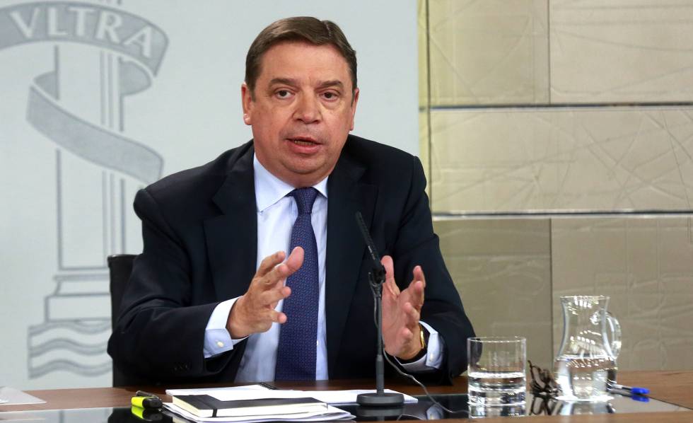 El ministro de Agricultura, Pesca y AlimentaciÃ³n, Luis Planas. 
