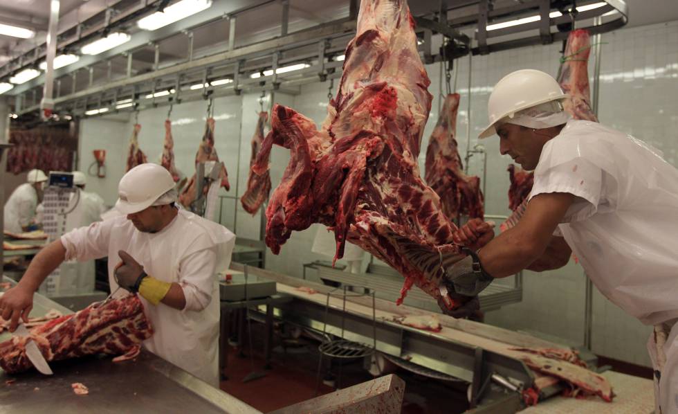 Dos trabajadores de una empacadora de carne en Montevideo.