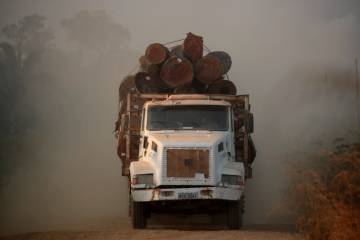 Un camión cargado con troncos cortados en un área de la selva amazónica el pasado mes agosto.