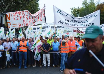 Olivareros se manifiestan en Madrid por el desplome del precio de la aceituna.
