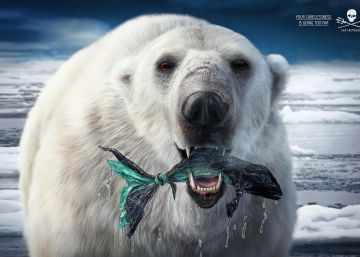 La importancia de la publicidad para denunciar el mar de plástico que amenaza el planeta (II)