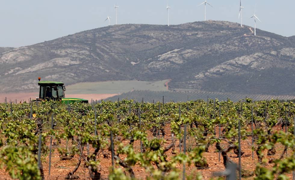 Un tractor recorre un viñedo en Villanueva de los Infantes (Ciudad Real).
