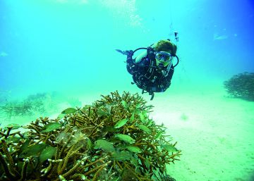 Una profunda corriente de cambios