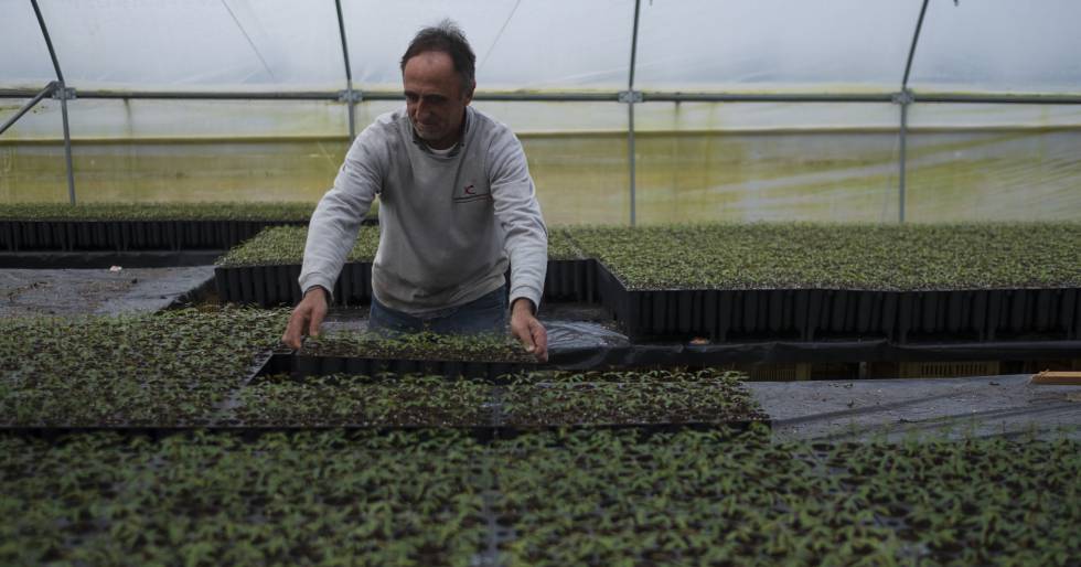 El Rey De Las Patentes Del Campo Economia El Pais