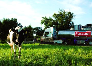 ¿Blanco y en botella? Así es el tetrabrik más sostenible