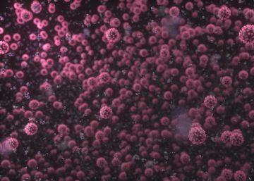 El virus propaga la digitalización del mundo