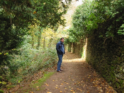 Top 10 de recetas de Mercado Calabajío