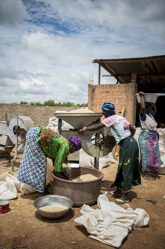 Alimentos con poder 5