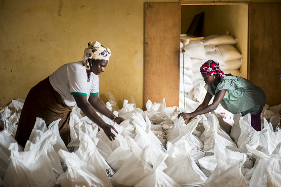 Alimentos con poder 7