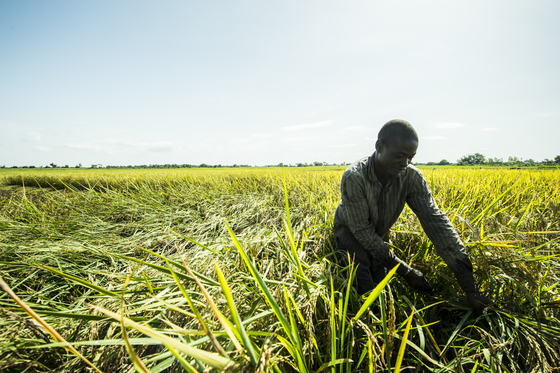 Alimentos con poder 8