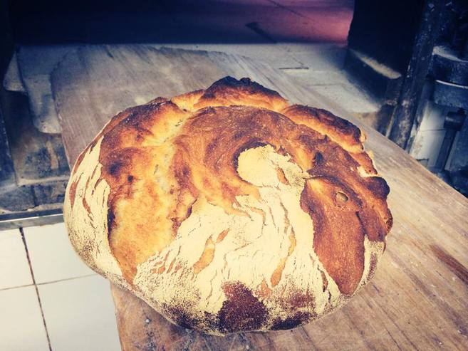 Dónde comprar pan de verdad a precios razonables