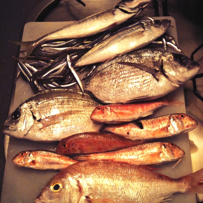 Cestas de pescado sostenible: cómo comer del mar sin esquilmarlo