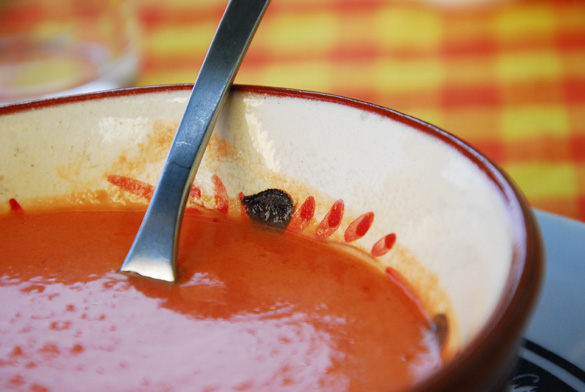 Gazpacho: cosas que sí y cosas que NO