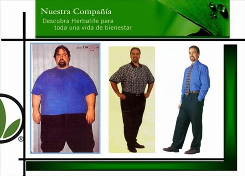 El peso excesivo y progesteron
