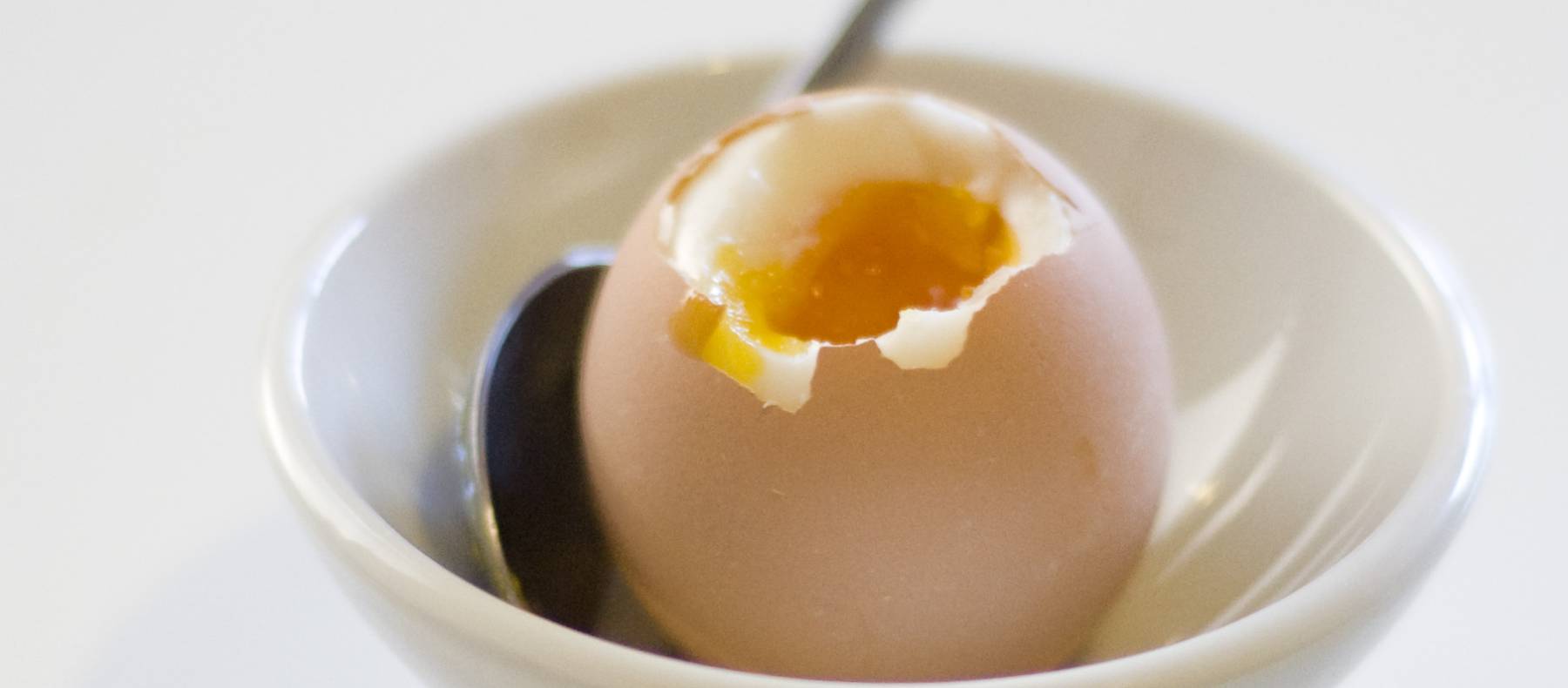 cenas en cinco minutos con huevos