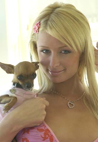 Video gratis paris hilton desnuda galleries 41