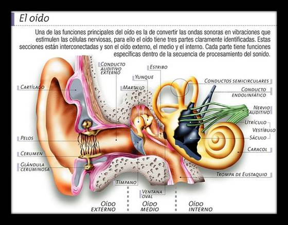 5 años mareado todo el tiempo