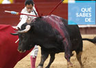 ¿Qué sabe de la fiesta de los toros?