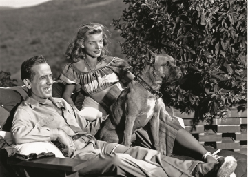 Un 'boxer' para Bogey y Bacall y otras historias perrunas de Hollywood