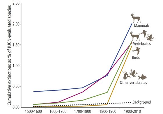 El gráfico muestra el porcentaje acumulado de especies de vertebrados (mamíferos, pájaros, anfibios, peces o reptiles) extinguidas desde 1500. La línea punteada es la tasa natural de extinción.