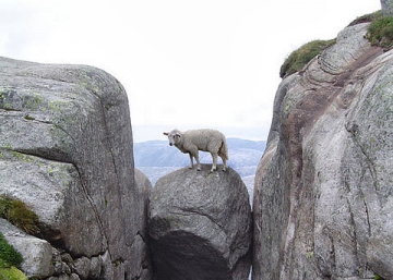 Noruega y América Latina: paradojas de la cooperación científica