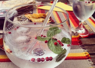 Quiero un gin tonic, no una ensalada
