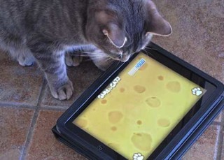 Estas apps son tan rematadamente absurdas que las necesitamos ya