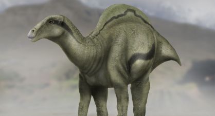 Reconstrucción del dinosaurio `Morelladon beltrani´ descubierto en Morella (Castellón).
