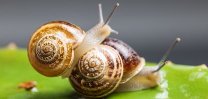 ¿Que solo duramos 7 minutos en la cama? Los estudios se equivocan