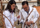 Marisa Sanz Buenhombre y Alberto Guadarrama, en la bodega Emina, de Matarromera, en Valbuena del Duero (Valladolid).
