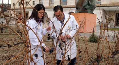 Marisa Sanz Buenhombre y Alberto Guadarrama, en la bodega Emina, de Matarromera, en Valbuena del Duero (Valladolid).