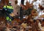 Hojas ca&iacute;das en una calle de Madrid. 