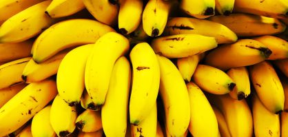 El plátano está en peligro de extinción