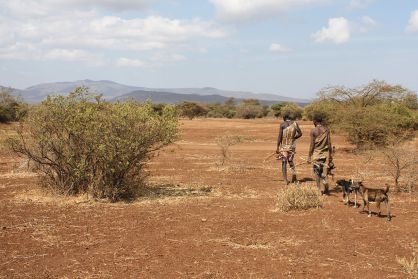 Los miembros del pueblo hadza tienen vidas muy activas, pero consumen la misma cantidad de energía que un occidental sedentario