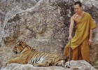 Uno de los monjes del Templo de los Tigres utiliza un palo para poner al animal encadenado en la mejor posición para ser fotografiado.