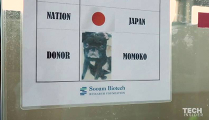 80.000 euros por clonar a su mascota