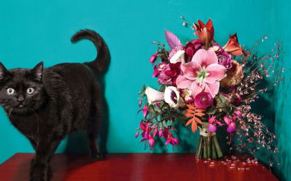 San Valentín: más que ramos, frenesí