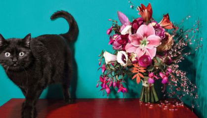 Elisabeth Blumen recrea para EL PAÍS SEMANAL las flores que mejor representan estas cinco relaciones explosivas. Pincha para verlas.