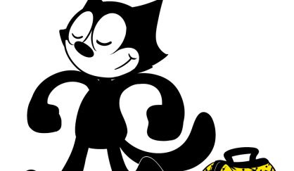 Buscarle tres pies al gato