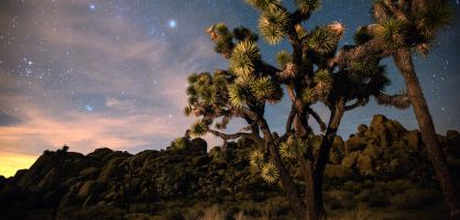 Siete viajes raros para quienes huyen del 'resort' con pulsera