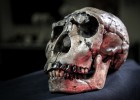 Imagen de la calavera de un 'Homo ergaster' de kenia, incluido en el estudio.