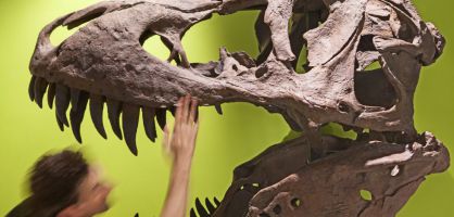 Elche, la Dama zapatera