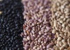 Frijoles de cuatro variedades distintas. 