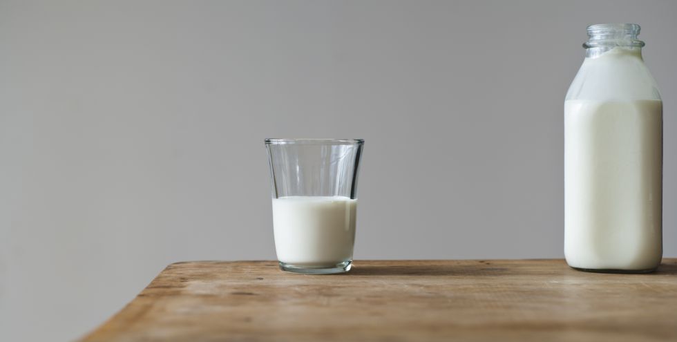 ¿Leche ecológica o convencional? Definitivamente, no es lo mismo