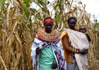 Mujeres de la cooperativa inspeccionan el campo de maíz.