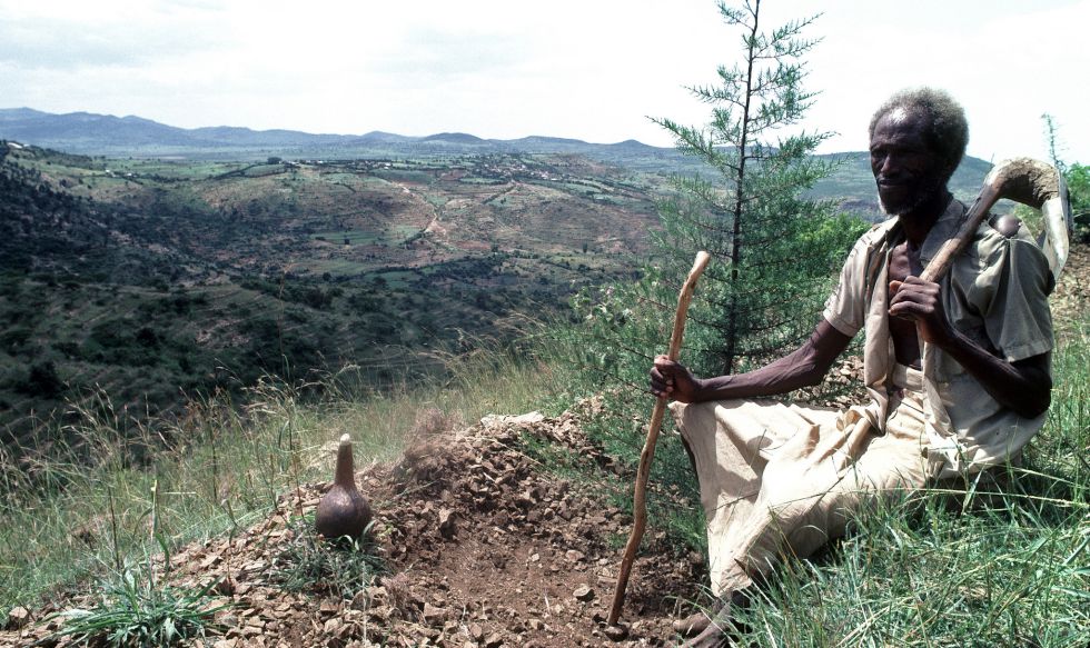 Un campesino, en una zona reforestada por el PNUD en 1982.