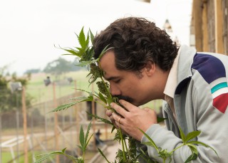 Los narcos también lloran