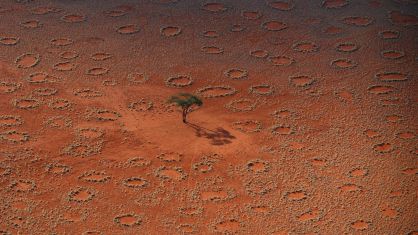El origen y formaci&oacute;n de los c&iacute;rculos de hadas de Namibia, en la imagen, son un misterio para la ciencia.
